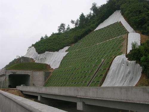 检查井半岛（中国）和护坡半岛（中国）生产厂家